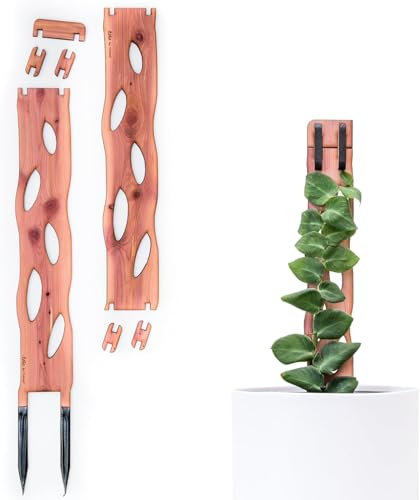 Treleaf Zella Regular Starter Kit – Wooden Extendable Plant Trellis for Indoor Climbing Houseplants – Modular Plant Support with 2 Bases + 2 Extensions - Moss Pole Alternative - size: Regular Kit