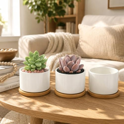 ZOUTOG 6 Pack 3.6" Ceramic Succulent Pots,White Planter with Drainage Tray | Round Flower Plant Pot Ideal for Windowsill, Bedroom and Living Room, Great for Succulents, Cacti & Small Indoor Green Plants