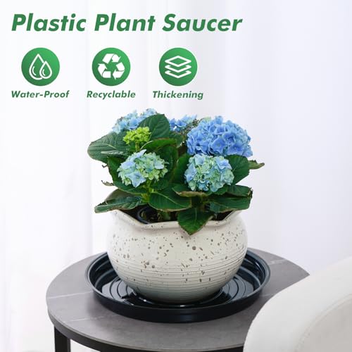 20 Pack 6 Inch Black Plastic Plant Saucers for Indoor & Outdoor Plants, No Holes, Water Catcher Tray, Small Flower Pot Saucers, Bulk Plant Drip Trays - color: Black, size: 6 inch: 20 pcs