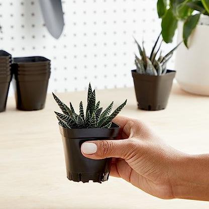 Juvale Square Nursery Pots - Seedling Planters with Drainage Holes - Versatile Pots for Plants & Succulents - Space-Saving Stackable Planters - 2.6 in, Pack of 150, Black