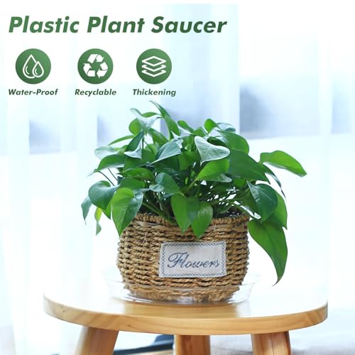 40 Pack 4 Inch Plant Saucer Clear Plant Saucers for Indoors Flower Pot Saucers Small Plant Plate Dish Plant Pot Saucers Plant Trays for Pots Bulk - color: Clear, size: 4 inch: 40 pcs