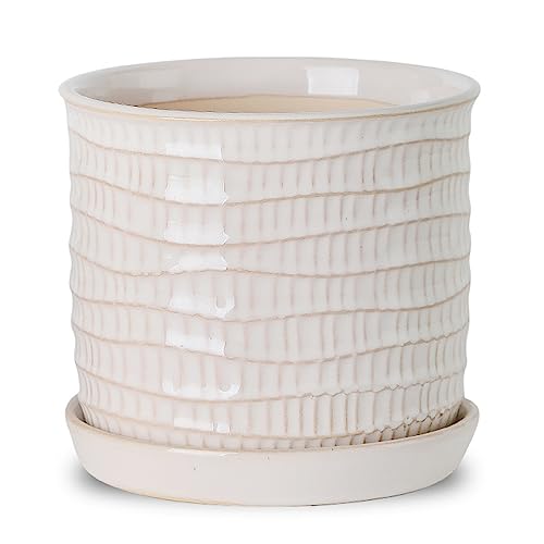 5.8 Inch Ceramic Planter with Drainage Hole & Bonded Saucer - color: Wave Embossed, size: 6 inch