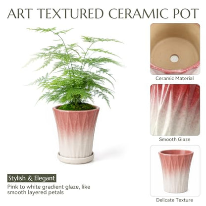 Ceramic Pots for Plants with Saucer(Pink, 6.7 Inch) - color: Pink, size: 6.7 Inch