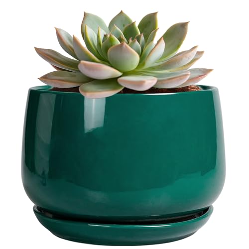 G EPGardening 6 Inch Plant Pot - Ceramic Planter for Indoor Plants, Round Planter with Drainage and Ceramic Tray, Flower Pots for Outdoor, Modern House Decor, Gift for Men Women, Green - color: Blackish Green, size: 5 Inch