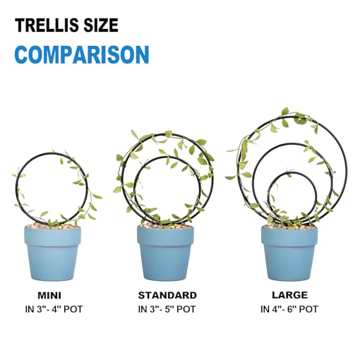 GOOOXIM Premium Hoya Trellis Unique Metal Plant Support for Climbing Plants - color: Black