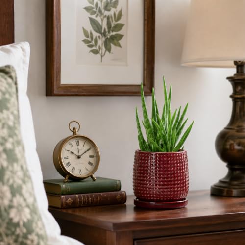 D'vine Dev Beaded Ceramic Pot with Saucer, 4 in, Burgundy Red, 27-C-Z-M - color: Burgundy Red, size: 4.3 Inch