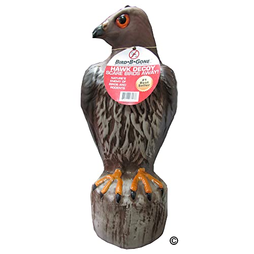 Bird B Gone Red-Tailed Hawk Decoy, Scare Birds Away - size: 1Pack