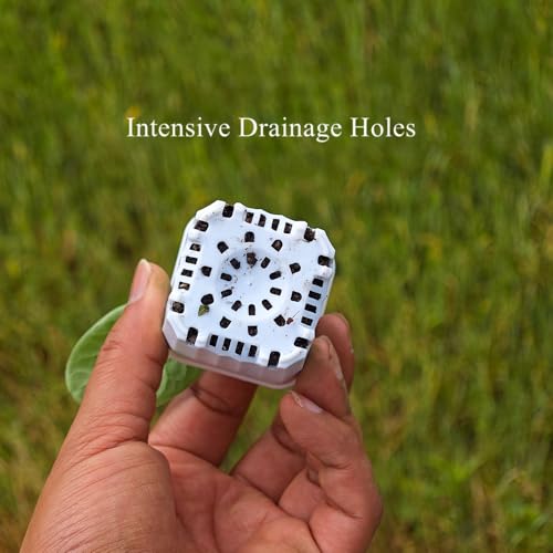 60 Pack 1.95 Inch Tiny White Plastic Square Nursery and Seedling Pot, Mini Deep Transplant Seed Starter Planter with Drain Hole for Germination, Herb, Succulent - color: White