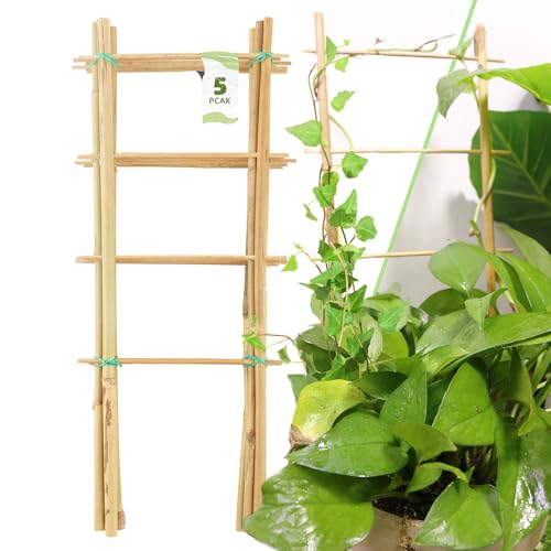 Avalution 5 Pack Bamboo Trellis for Climbing Plants Indoor, 16 Inch Garden Ladder Trellis for Potted Plants, Fan-Shaped Small Plant Support Trellis for Houseplants Ivy Hoya Vine Monstera - color: Ladder-Shaped, size: 5 PACK-16 inches