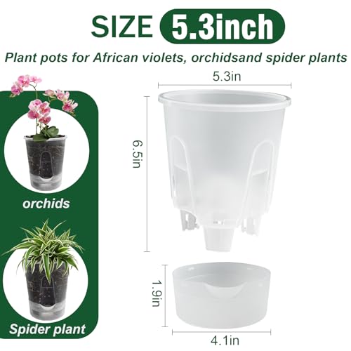 Cdd's Path Upgraded 5-Pack 6 Inch Naked Root Planter Self Watering Pots Set, Plant Pots with Holes for Indoor/Outdoor Plants with Watering Hole/Reservoir and Air Pipes, Clear - size: 5 Pack-6 inch(Upgraded )
