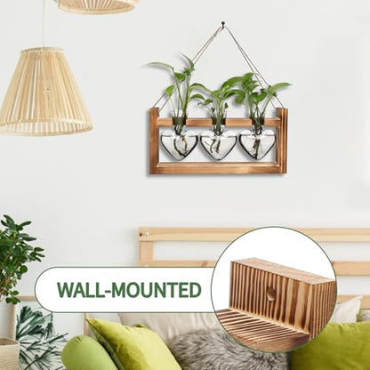 Plant Terrarium Propagation Stations Hydroponics - color: Gray