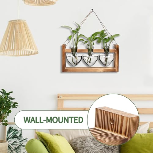 Plant Terrarium Propagation Stations Hydroponics - color: Gray