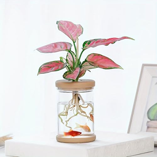 Plants Propagation Stations,Separated Desktop Flower Vase for Living Room and Bedroom, Decorative Vases for Wedding, Valentines' Day, Mother's Day
