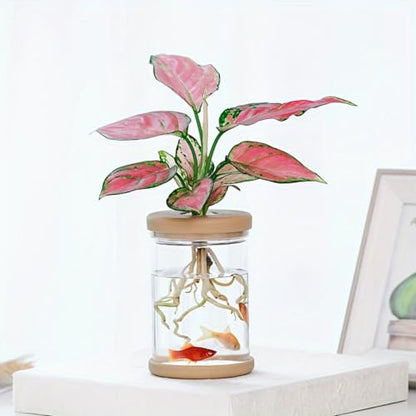 Plants Propagation Stations,Separated Desktop Flower Vase for Living Room and Bedroom, Decorative Vases for Wedding, Valentines' Day, Mother's Day