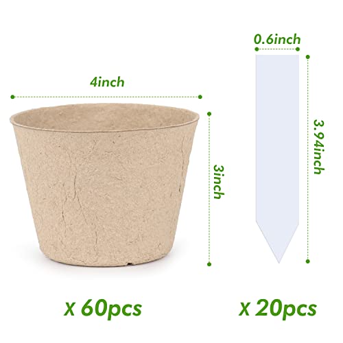 homenote 60 Pcs 4 Inch Peat Pots,Nursery Plant Pots,Seed Starting Pots - size: 4 Inch