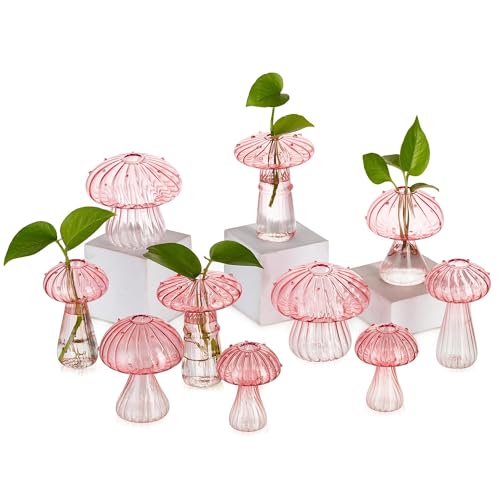 Glasseam Mushroom Plant Propagation Station: 5 Pcs Pink Glass Terrarium Jar - color: Pink, size: 10