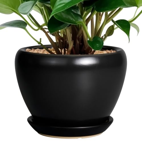 Ceramicfor Ceramic Planter Pot - 6 Inch Plant Pot with Drainage Hole and Saucer Round Planter for Indoor Plants Outdoor Succulent Pot Modern Flower Pot for Home Decor Black - color: Matte Black, size: 6 Inch