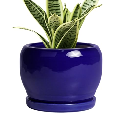 SQOWL Ceramic Planters for Indoor Plants - 6 Inch Plant Pot with Drainage Hole and Saucer, Round Small Planter, Modern Decorative Flower Pot Outdoor, Living Room Decor, Garden Gifts for Women, Blue - color: Cobalt Blue, size: 6 Inch