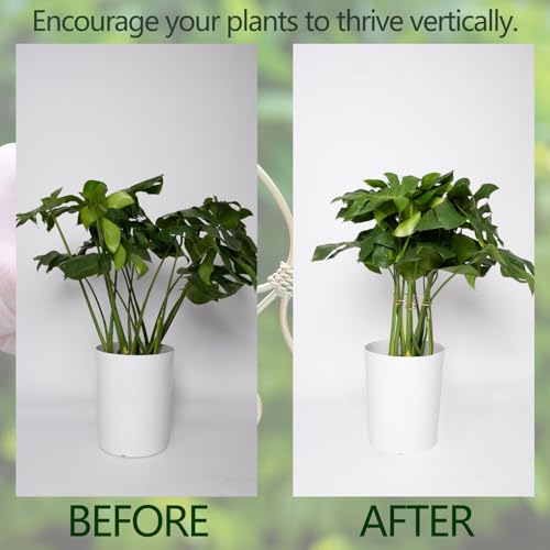 5PCS Monstera Plant Stem Support Stakes - 5.5 in Metal Supports - size: 5.5 x 5.5 inches