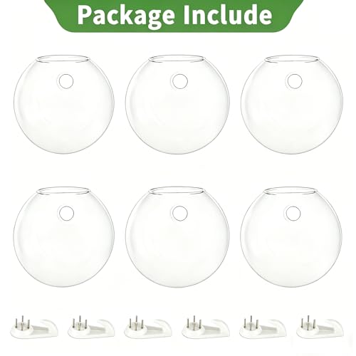 NUPTIO Glass Wall Hanging Planters: Propagation Station for Plants, 6 Pcs - size: 6 Pcs