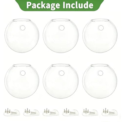 NUPTIO Glass Wall Hanging Planters: Propagation Station for Plants, 6 Pcs - size: 6 Pcs