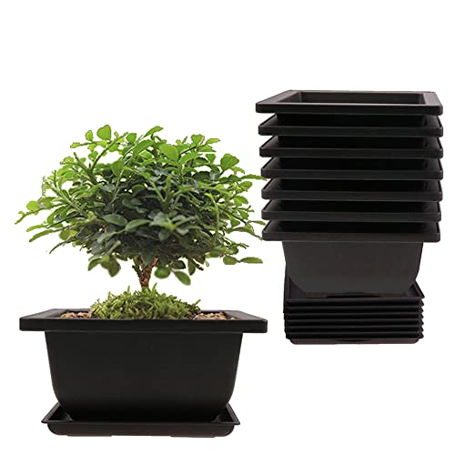 MUZHI 8PCS/Pack Retro Style Square Small Bonsai Training Pots with Tray, Mini Plastic Mocha Garden Flower Pot 4.7" - size: 8pcs small square 4.7"