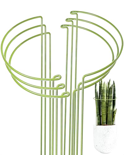 6-Packy Plant Support Stakes, Steel Stakes for Indoor Plants, Monstera & Peony Support, Tall Plant Sticks for Snake Plant, Climbing Vines (8" Wide x 14" High)