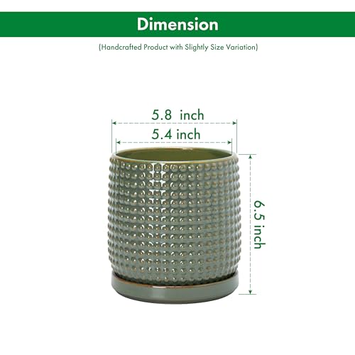 D'vine Dev Beaded Ceramic Pot with Saucer, 6 in, Olive, 27-C-X-0 - color: Olive, size: 5.8 Inch