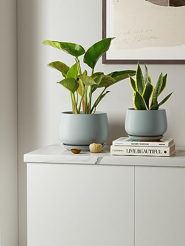 LE TAUCI Plant Pots, 4.1+5.1+6.5 inch, Set of 3, Reactive Glaze Blue Gray - color: Reactive Glaze Blue Gray