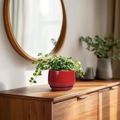 G EPGardening Ceramic Pots for Plants, 4 Inch Succulent Pots, Red - color: Red, size: 4 Inch