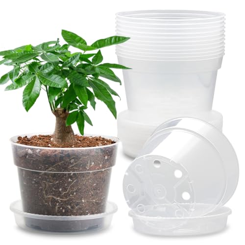 12 Pack 7 Inch Clear Nursery Pots with Saucer, Transparent Plastic Plant Pots with Drainage Holes, Sturdy Plant Starter Pots, Planter Pot for Planting Succulent Flower Herb Vegetable, Gardening Gifts - size: 7 Inch-12P
