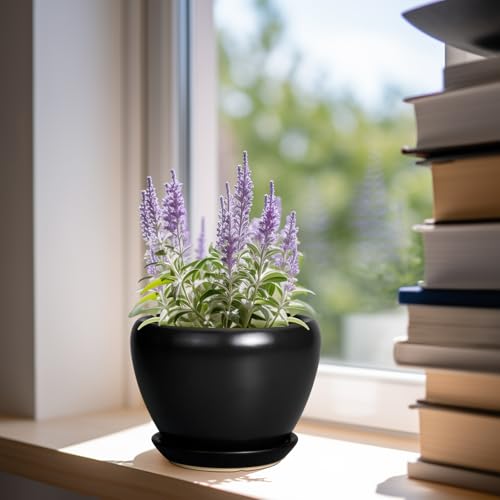 Ceramicfor Ceramic Planter Pot - 6 Inch Plant Pot with Drainage Hole and Saucer Round Planter for Indoor Plants Outdoor Succulent Pot Modern Flower Pot for Home Decor Black - color: Matte Black, size: 6 Inch