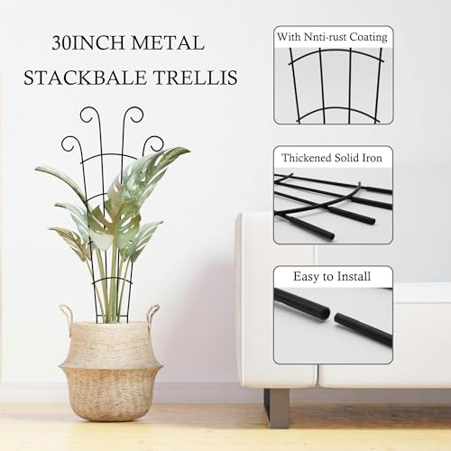30 Inch Trellis for Climbing Plants Indoor 3 Pack Indoor Plant Trellis for Potted Plants Metal Garden Trellis for pots Indoor Outdoor for Monstera Pothos Vine Ivy Hoya(30inch Black)