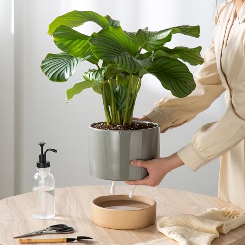 8 Inch Ceramic Self Watering Planter with Drainage Hole, Dark Grey - color: Darkgrey, size: Medium