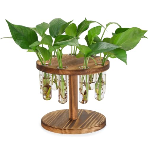 Plant Propagation Station, 9 Propagation Tubes with Wooden Stand - size: single layer