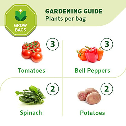 Coolaroo 4-Pack 10 Gallon Heavy Duty Plant/Vegetable/Fruit/Flower Breathable Fabric Grow Planter Pot Bags with Handles, Brick - color: Brick, size: 4 Pack, style: 10 Gallon
