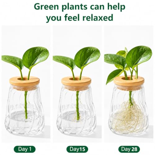 Desktop Plant Hydroponic Vases, Water Plant Jars, Gardening Gifts for Office and Home, Outdoor, Transparent Glacier Pattern - color: Transparent Glacier Pattern
