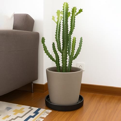 D'vine Dev Ceramic Plant Saucer/Drainage Tray, 8.7 in, Black, 97-T-B-4 - color: Black, size: 8.7" (1 Pack)