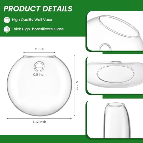 DomeStar Set of 2 Wall Vases, Wall Mounted Propagation Station - size: 2pcs