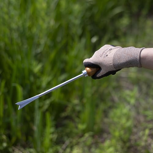 Dandelion Weed Puller Tool Handheld 13" - Garden Weeder Root Removal Tool - Heavy Duty Japanese Steel with Wood Handle - Made in Japan - color: Brown Dandelion Weeder