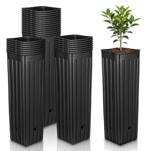 Sewroro 30 Pcs Plant Grow Bags Plastic Thickened Nursery Seedling Bags Gardening Planting Containers for Trees and Flowers