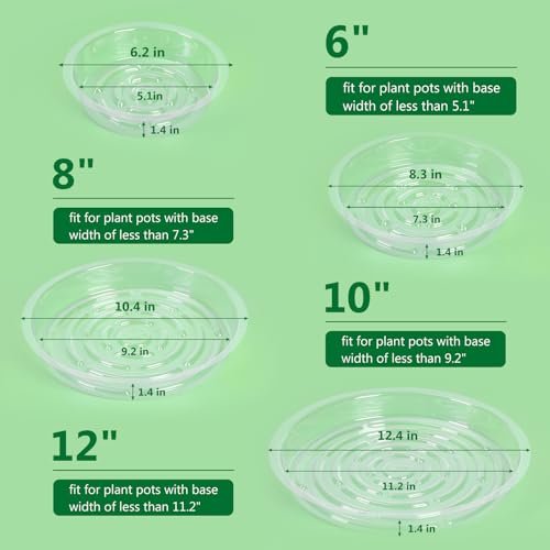 JERIA 6 Inch 20 Pack Clear Plant Saucers,Plastic Flower Pot Trays,Round Durable Plant Drip Trays for Indoor and Outdoor - size: 6 Inch (20 Pack)