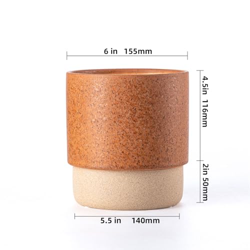 6 Inch Ceramic Self Watering Planter with Drainage Hole Terracotta - color: Terracotta, size: Small