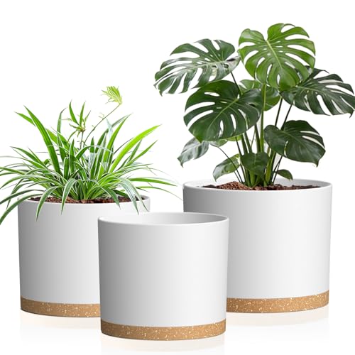 10/9/8 Inch Plant Pots 3 Pack, with Drainage Hole & Saucers - color: Matte White&brown