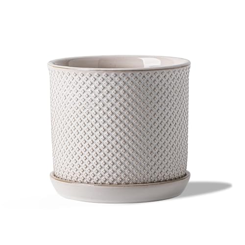 5.8 Inch Ceramic Planter with Drainage Hole & Bonded Saucer - color: Beaded Embossed, size: 6 inch