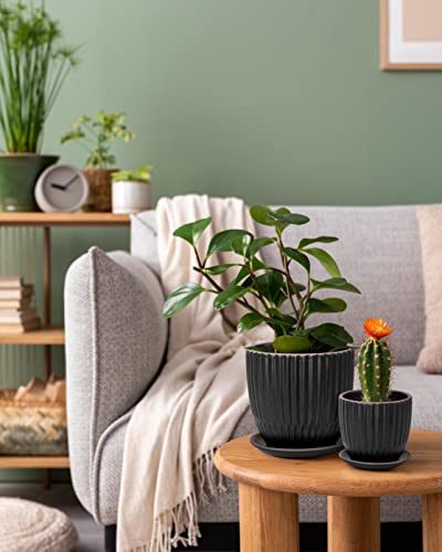 D'vine Dev 2-Pack Stoneware Planter Pots, 4.5/5.8 in, Black, 99-D-2 - color: Black