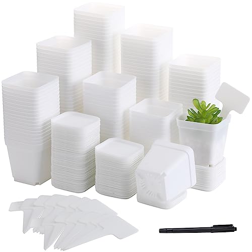 140 Pcs 3 Inch Plastic Plant Pots Square Seedling Nursery Pots Reusable Small Plant Pots with Saucers 140 Pcs Waterproof Plant Labels T Type Plant Tags Marking Pen for Garden Balcony Office (White) - color: White