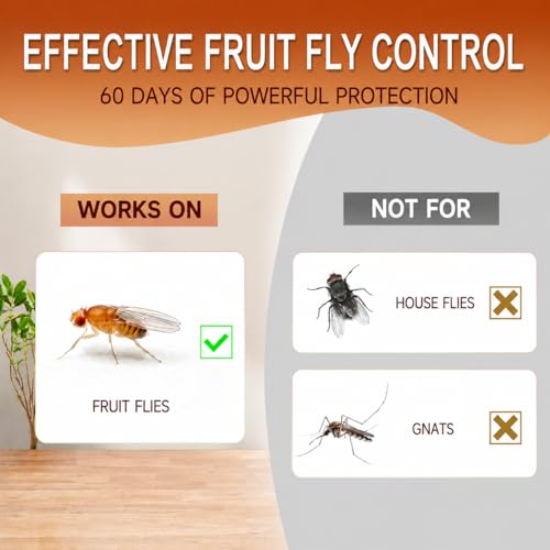 Fruit Fly Traps for Indoors: Fruit Fly and Drain Fly Traps Indoor - Reusable Escape-Proof Trap and Powerful Fruit-Based Bait (2 X 60ml Refills)