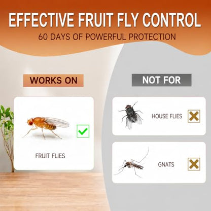 Fruit Fly Traps for Indoors: Fruit Fly and Drain Fly Traps Indoor - Reusable Escape-Proof Trap and Powerful Fruit-Based Bait (2 X 60ml Refills)