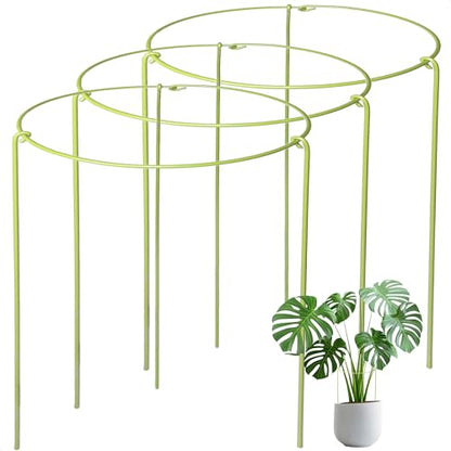 3-Pack Plant Support Stakes for Indoor Plants, Adjustable Monstera Cages & Snake Plant Support Rings, Potted Plant Supports Garden Stakes (10" W x 17" H) - size: 10"W x 17"H